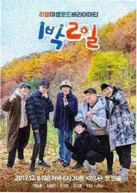 乘风破浪的姐姐-电影免费大全