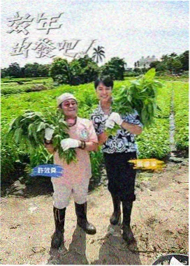 奔跑吧-电影免费大全